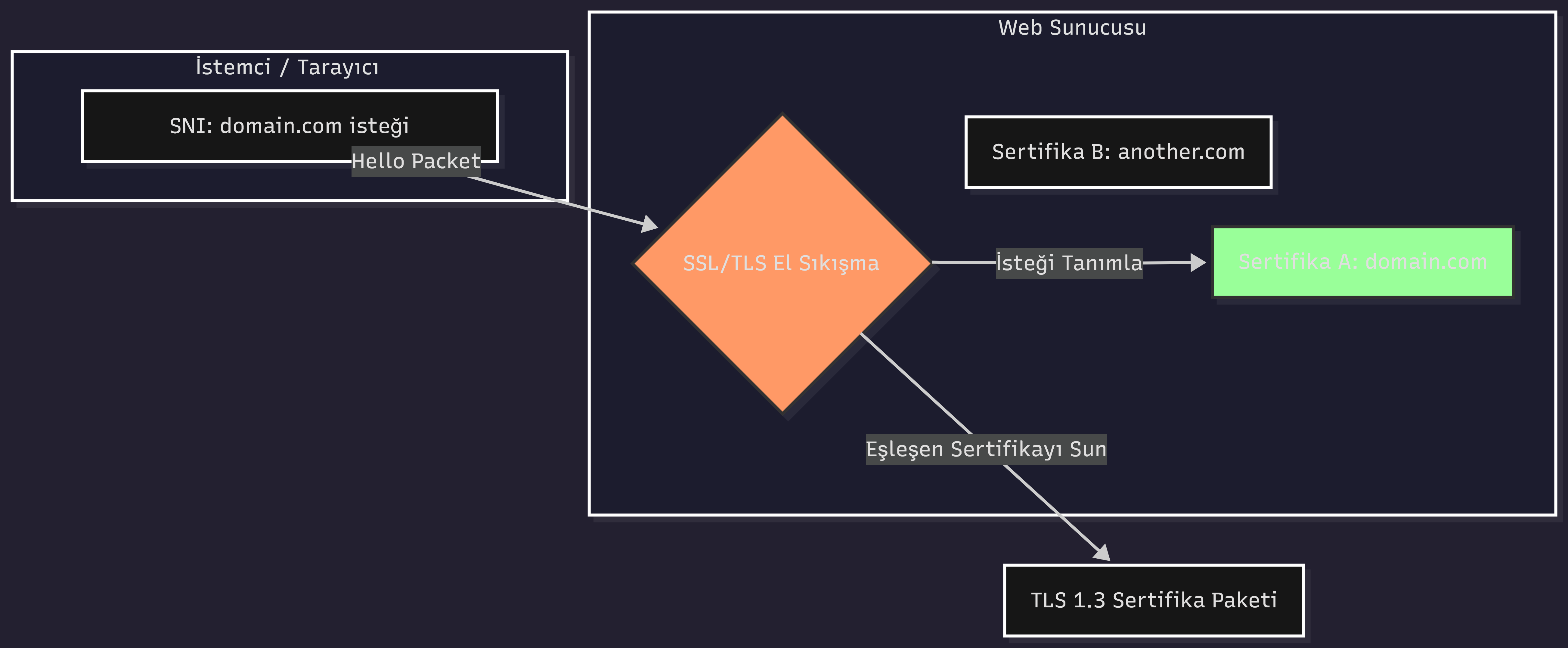 SNI teknolojisi üzerinden tek IP adresinde çoklu SSL doğrulaması ve TLS 1.3 el sıkışma protokolü
